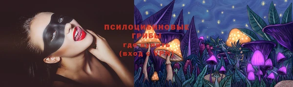 ешки Аркадак