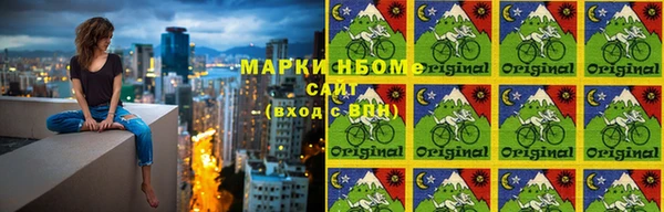 ешки Аркадак